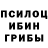 Псилоцибиновые грибы Cubensis xjskske detg