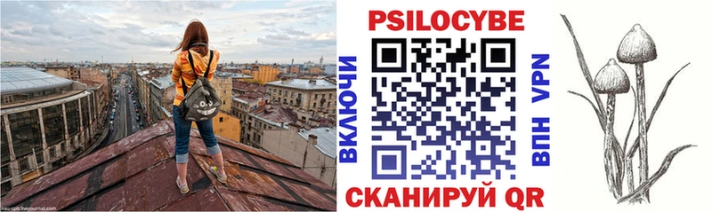 Галлюциногенные грибы Cubensis  закладка  Новочебоксарск 
