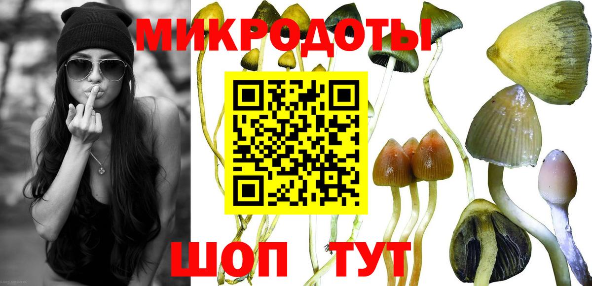 Псилоцибиновые грибы Cubensis  Вход с VPN  Галлюциногенные грибы GOLDEN TEACHER  Новочебоксарск 